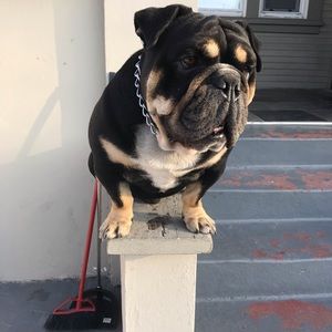 Meet your Posher, Martin